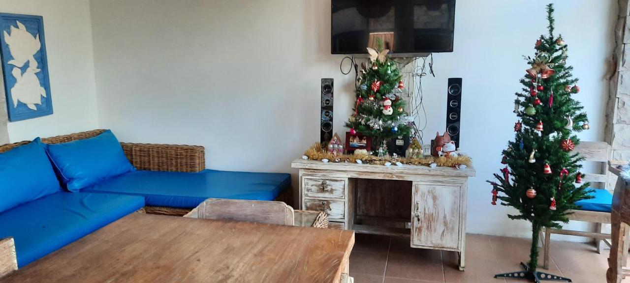 Turtle Island Homestay Sanur Extérieur photo