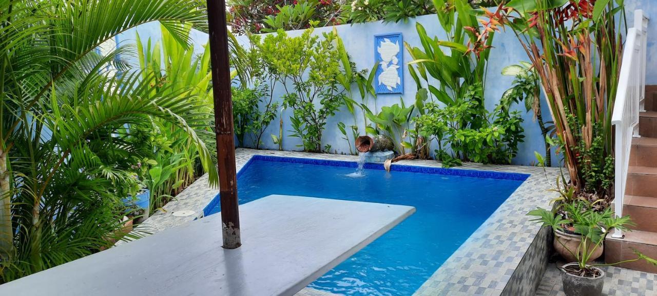 Turtle Island Homestay Sanur Extérieur photo