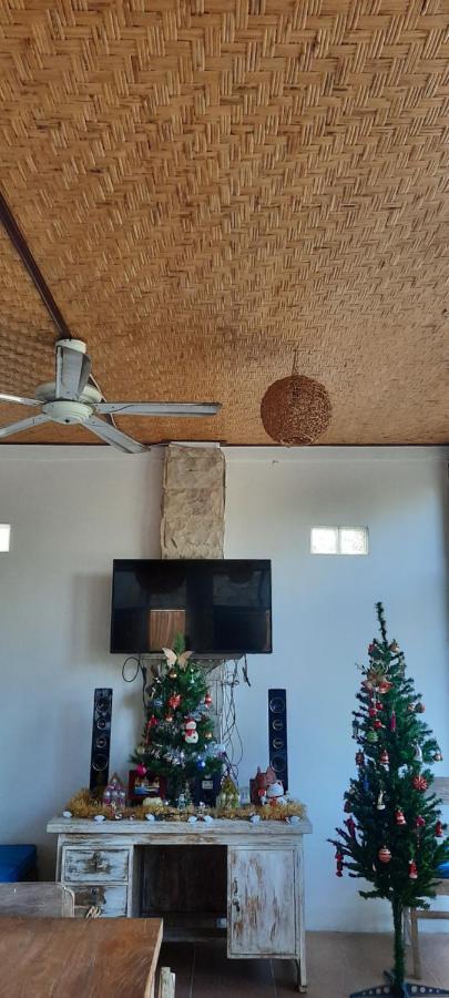 Turtle Island Homestay Sanur Extérieur photo