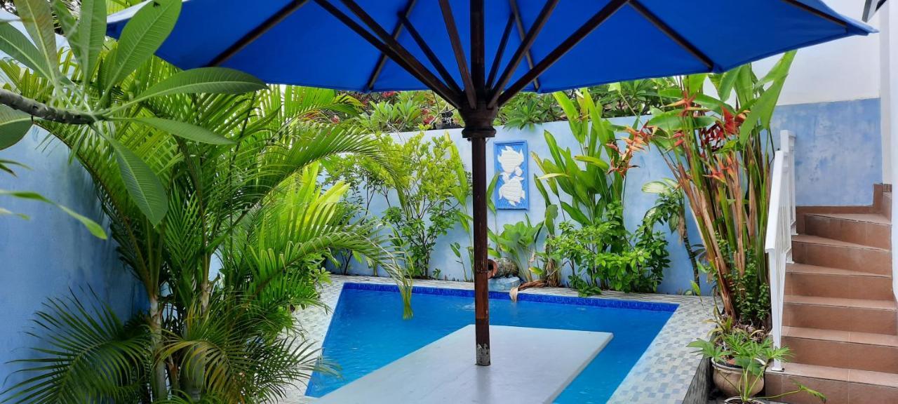 Turtle Island Homestay Sanur Extérieur photo